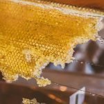 Как едят мёд в сотах?